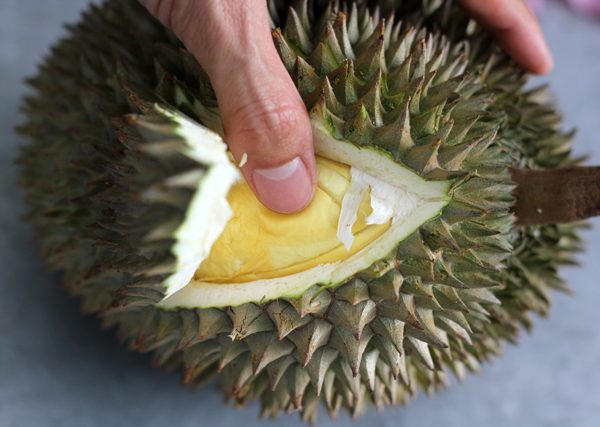 Indulge on Your Durian Through These Fun and Exciting Ways