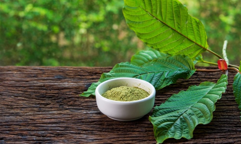 How to make white borneo kratom tea for maximum benefits?