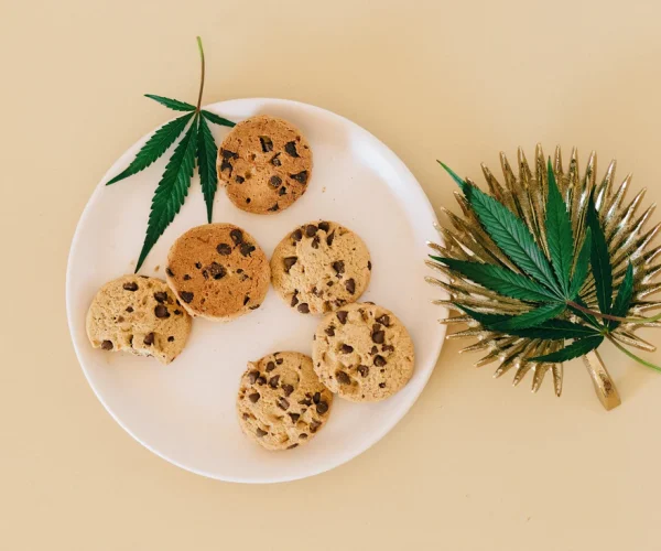 Understanding edibles and wellness combinations