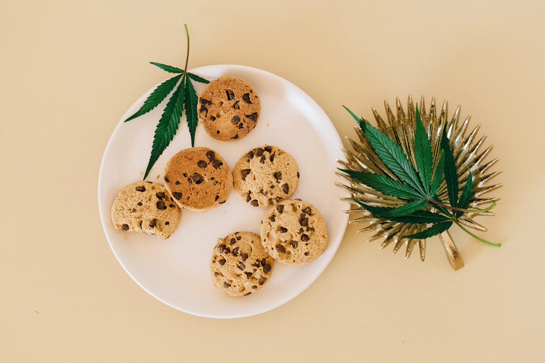 Understanding edibles and wellness combinations